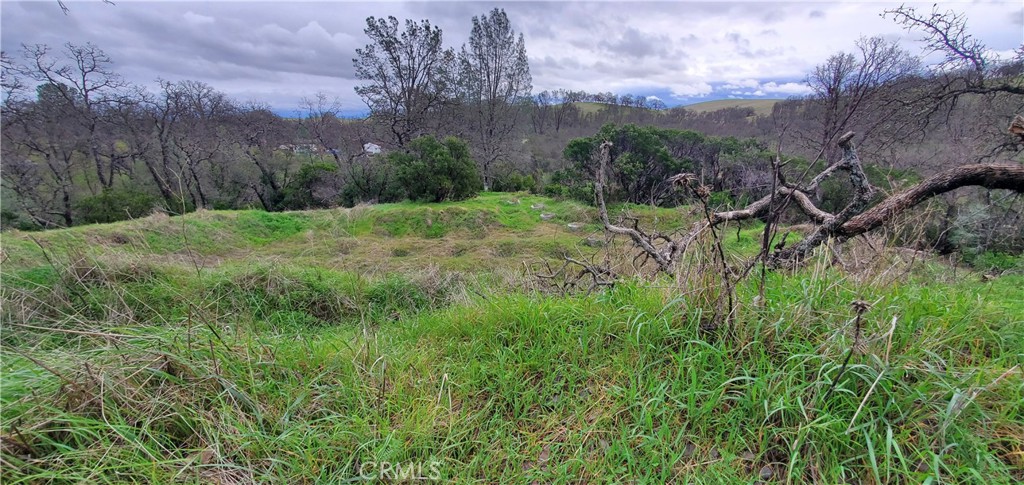 6960 Cougar Drive Corning, CA 96021 - Photo 3 of 7