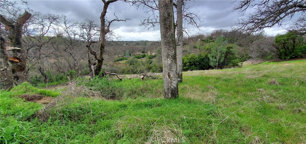 6960 Cougar Drive Corning, CA 96021 - Photo 4 of 7