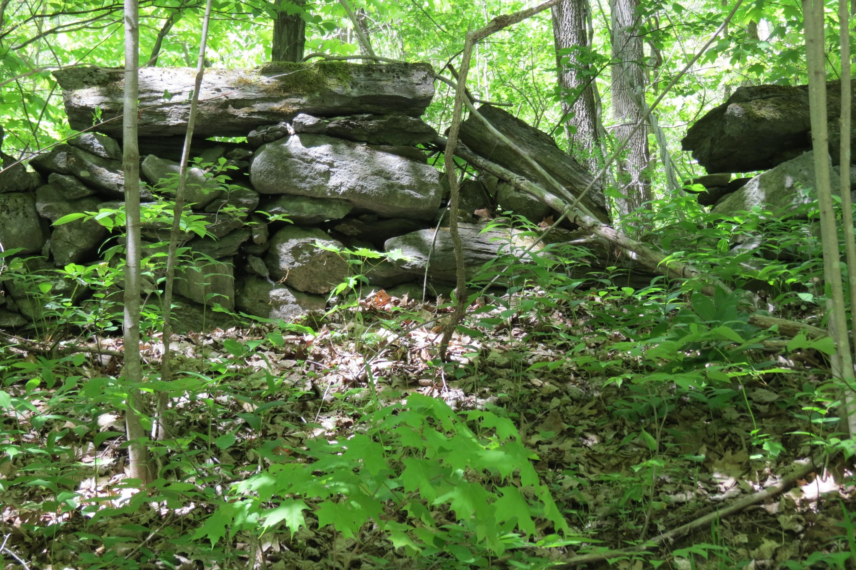 70 Notch Road Adams, MA 01220 - Photo 14 of 18 Rock Outcroppings