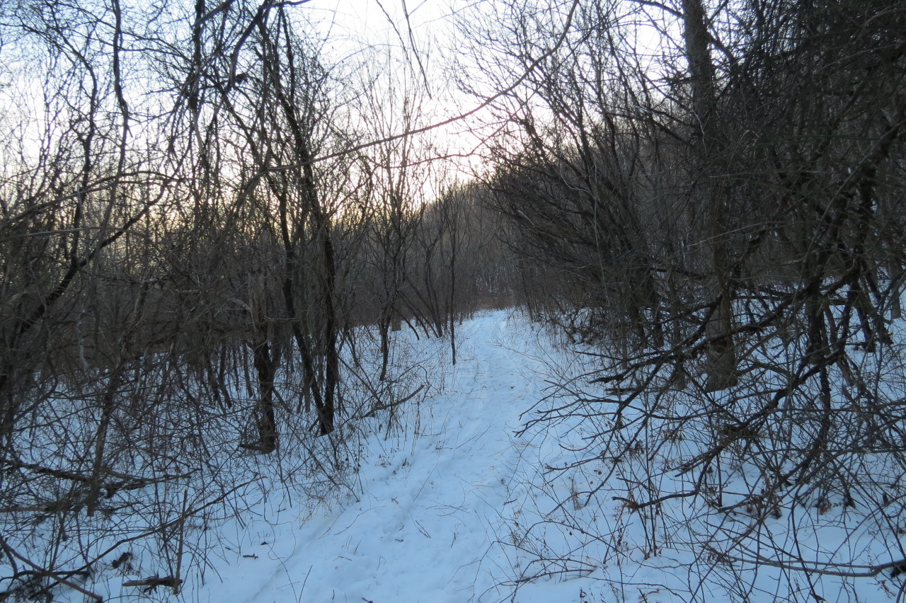 70 Notch Road Adams, MA 01220 - Photo 6 of 18 Trail through woods into State Land