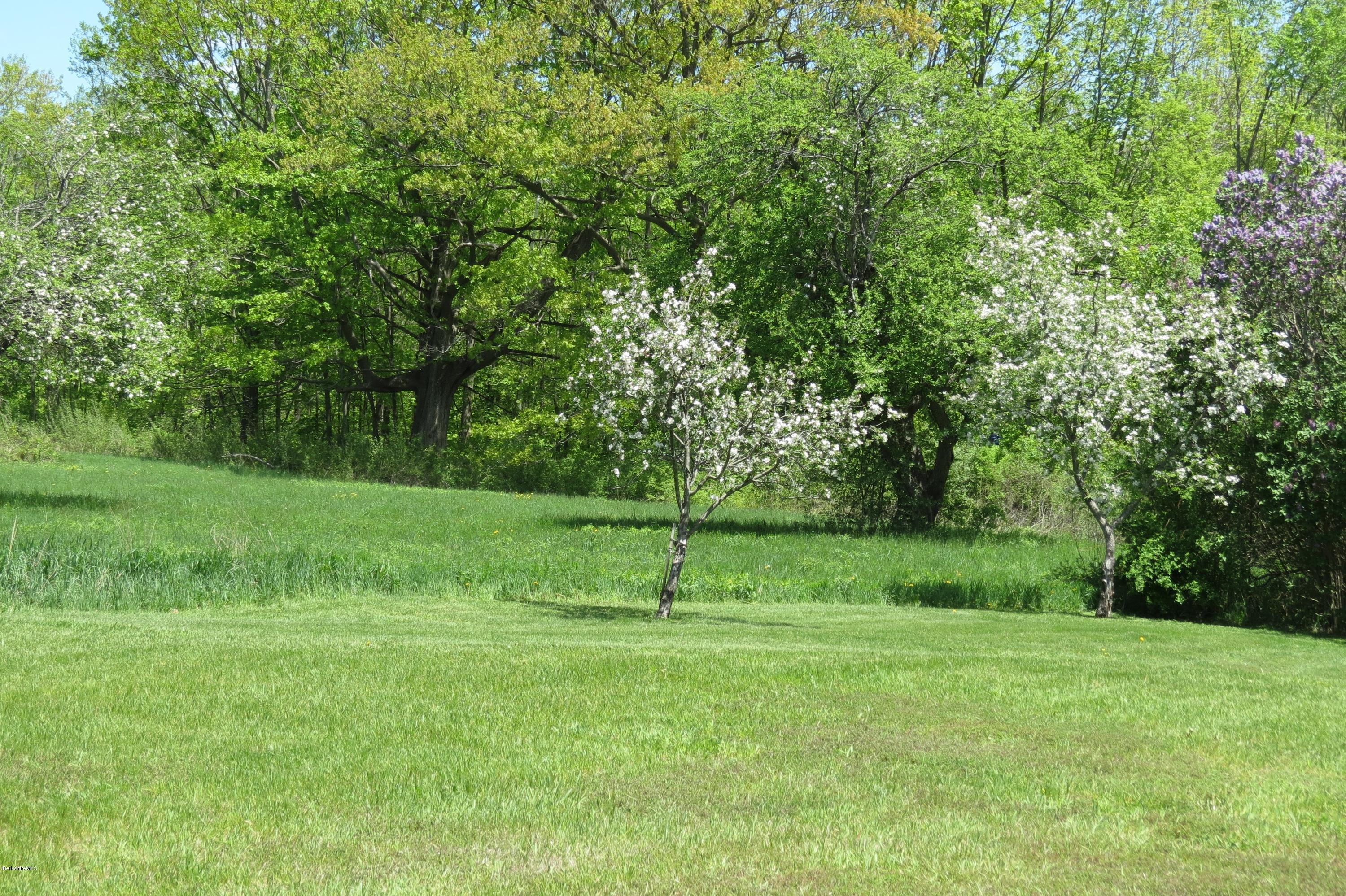 70 Notch Road Adams, MA 01220 - Photo 9 of 18 Beautiful Blossoming Apples Trees