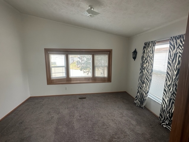 1074 Lakeview Road Elgin, IL 60123 - Photo 29 of 32 an empty room with windows