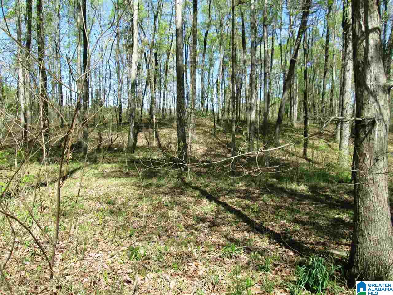 5550 Crawford Cove Road Steele, AL 35987 - Photo 8 of 36
