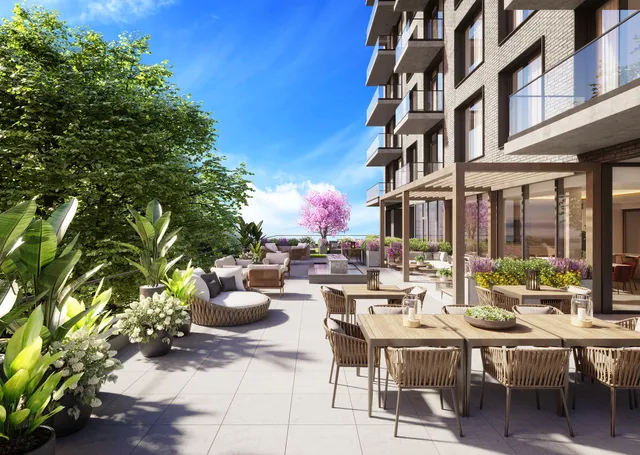 a view of a flower in a garden