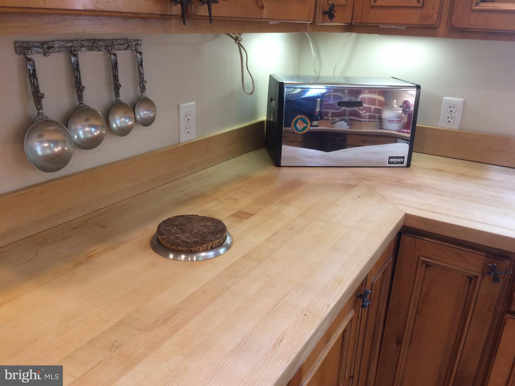 308 Radnor Road Baltimore, MD 21212 - Photo 5 of 16 Kitchen Countertops