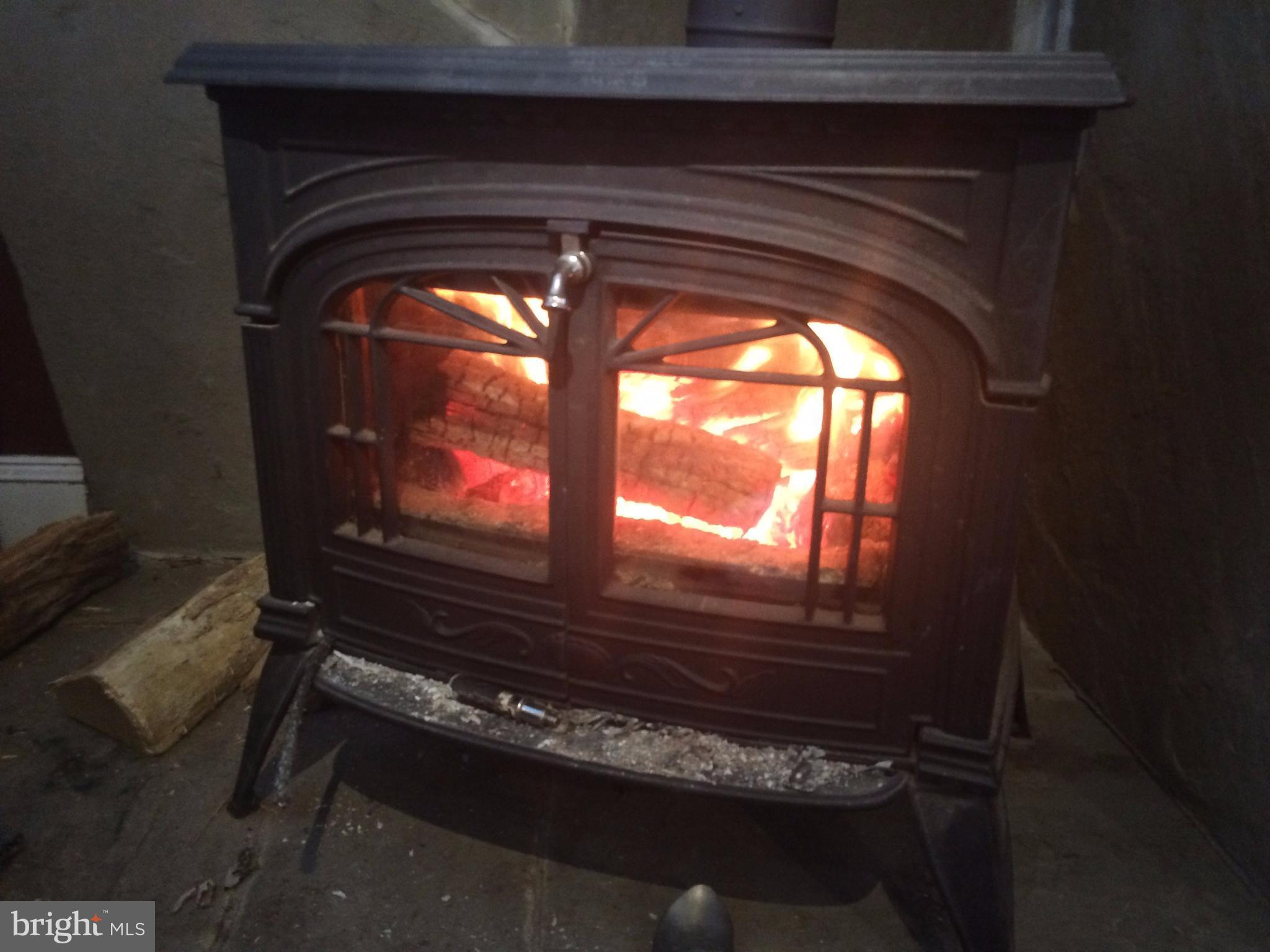 308 Radnor Road Baltimore, MD 21212 - Photo 7 of 16 Wood Stove
