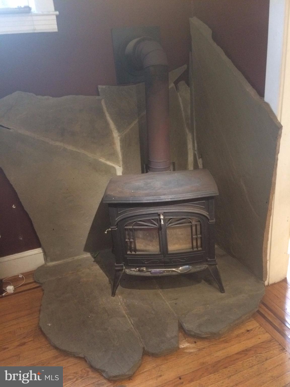 308 Radnor Road Baltimore, MD 21212 - Photo 8 of 16 Wood Stove Hearth