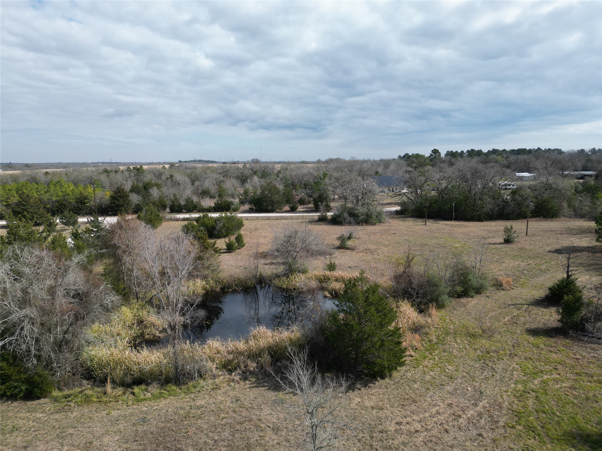 10173 Deer Ridge Road Bedias, TX 77831 - Photo 12 of 46