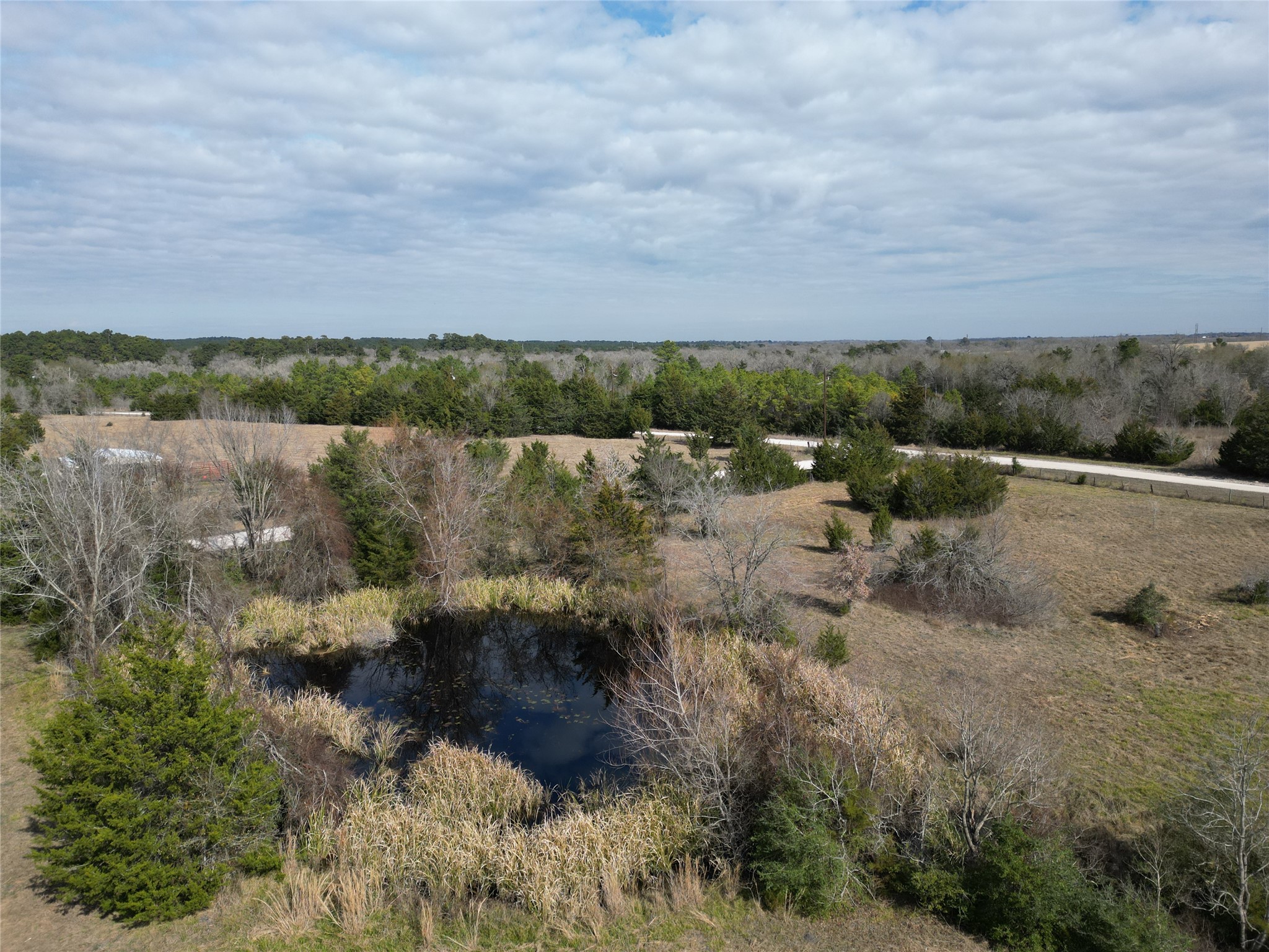 10173 Deer Ridge Road Bedias, TX 77831 - Photo 15 of 46 a view of a lake with lots of trees