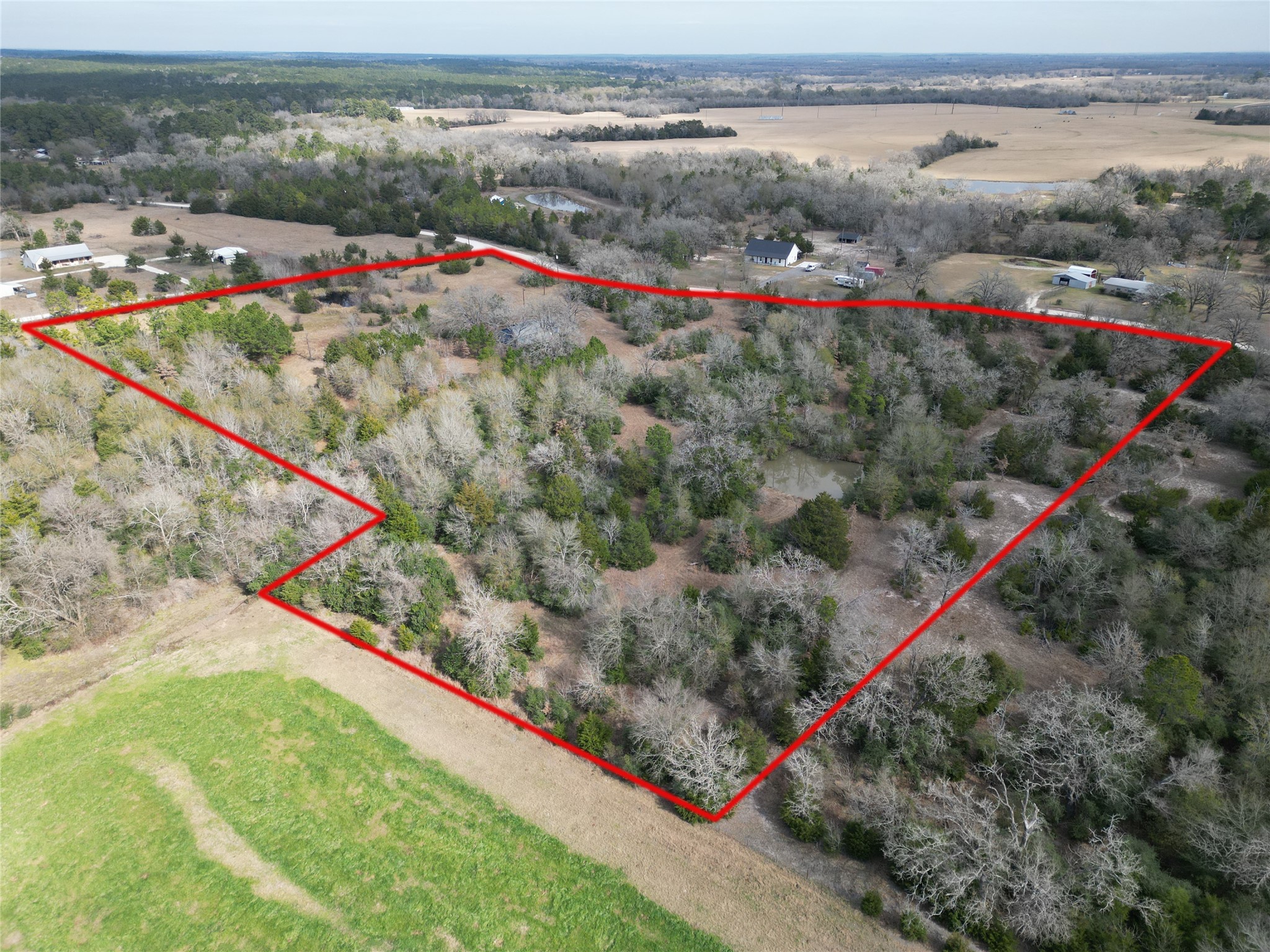 10173 Deer Ridge Road Bedias, TX 77831 - Photo 17 of 46