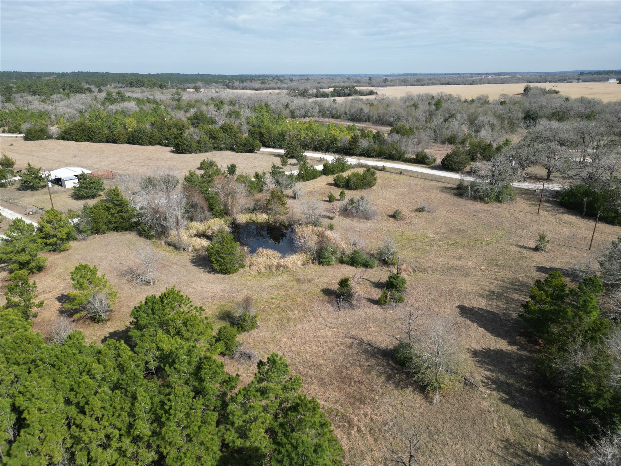 10173 Deer Ridge Road Bedias, TX 77831 - Photo 19 of 46