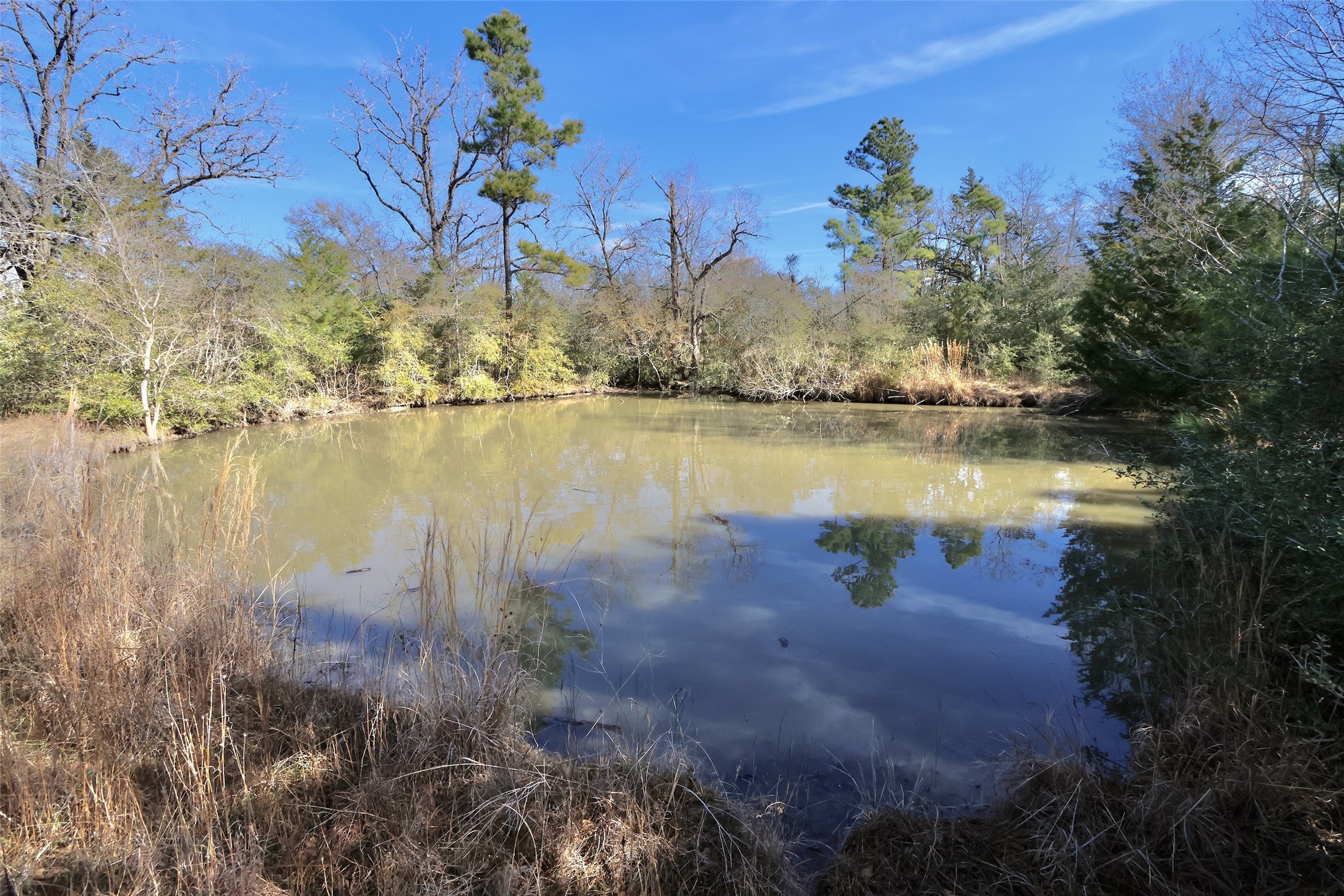 10173 Deer Ridge Road Bedias, TX 77831 - Photo 28 of 46 a view of a lake with a mountain