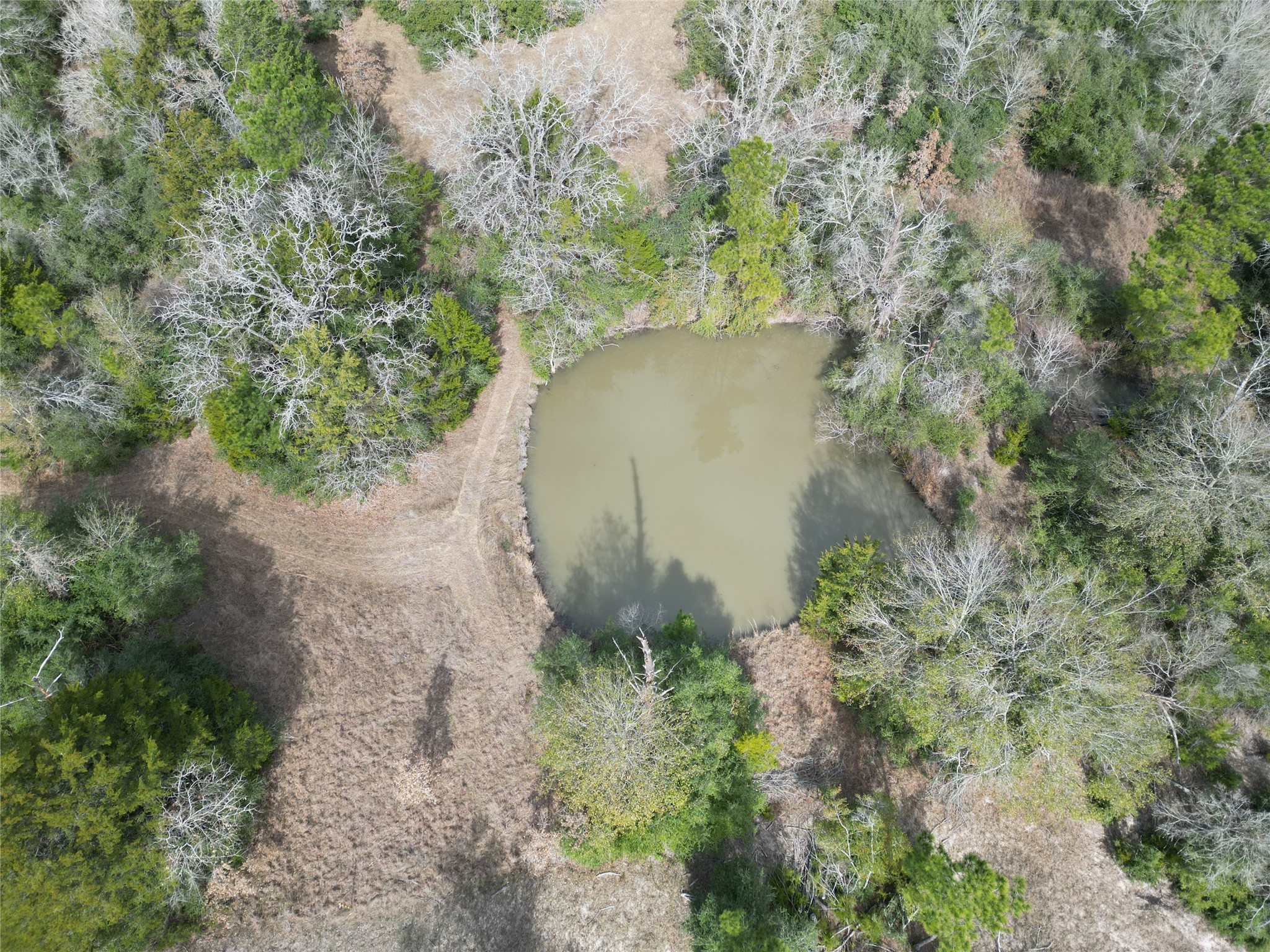 10173 Deer Ridge Road Bedias, TX 77831 - Photo 29 of 46 an aerial view of a house with a yard and trees