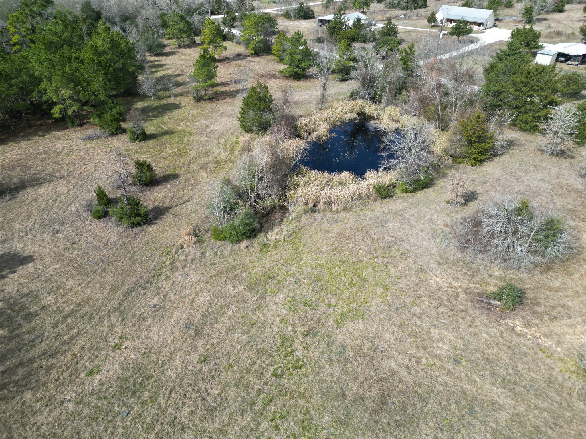 10173 Deer Ridge Road Bedias, TX 77831 - Photo 9 of 46