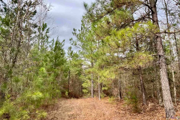$249,900 | 1 Ford Road, Marion, LA 71260