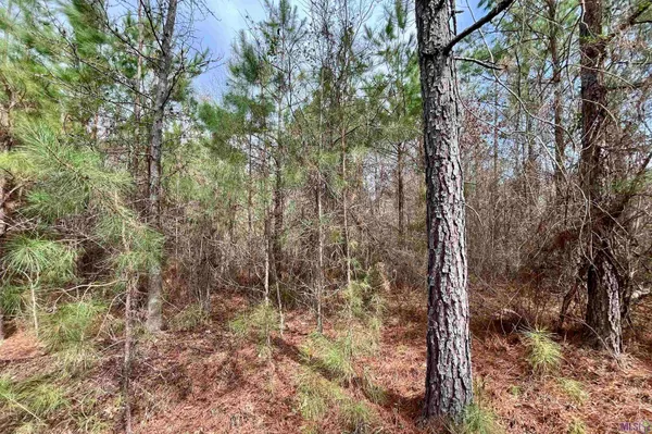 $249,900 | 1 Ford Road, Marion, LA 71260