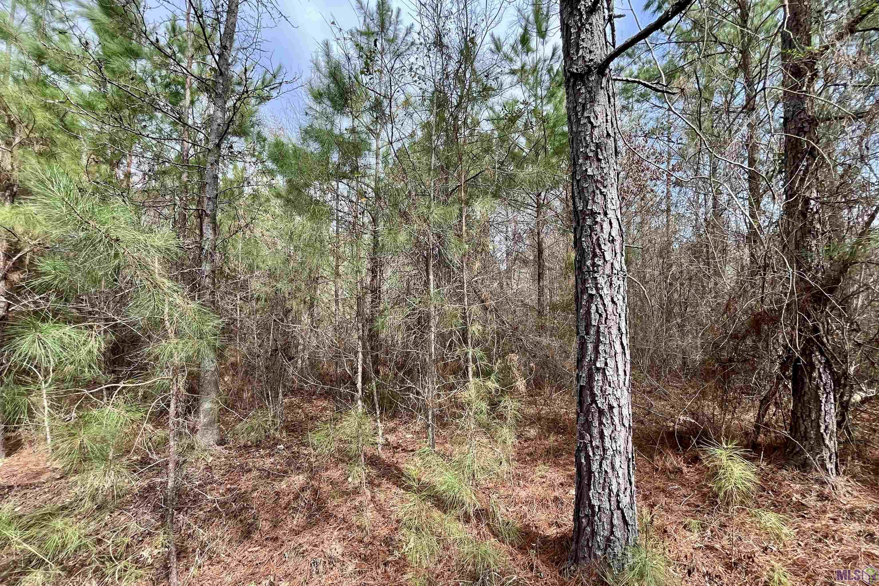 1 Ford Road Marion, LA 71260 - Photo 2 of 10