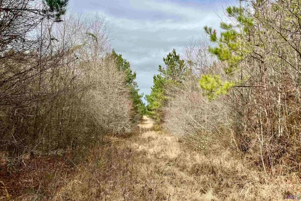 $249,900 | 1 Ford Road, Marion, LA 71260