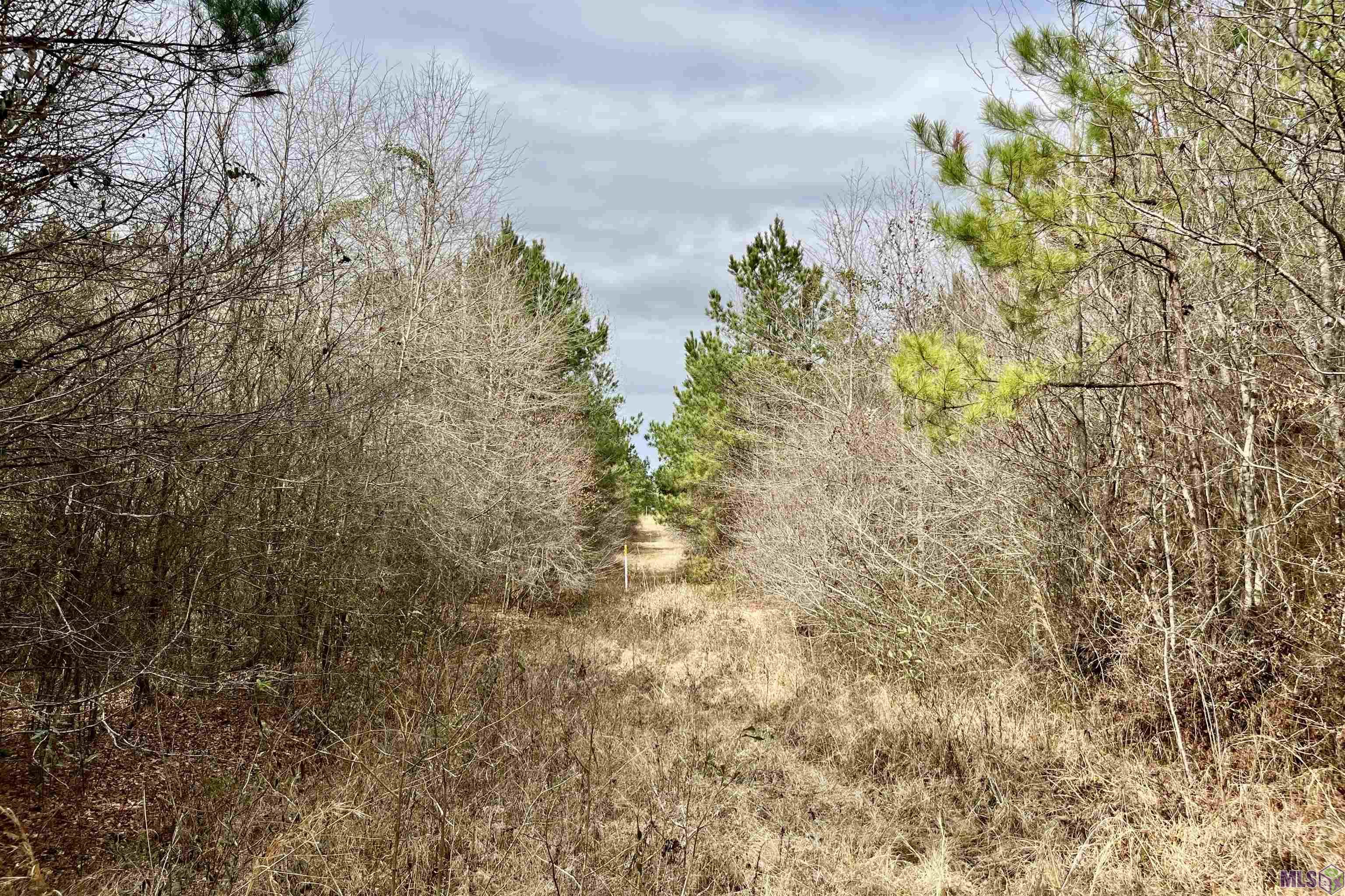 1 Ford Road Marion, LA 71260 - Photo 3 of 10