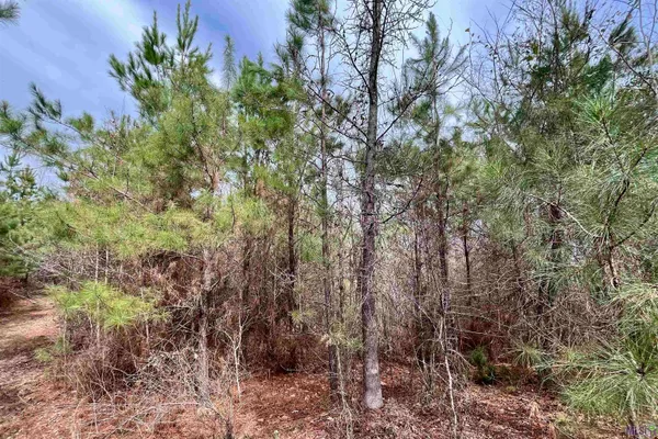 $249,900 | 1 Ford Road, Marion, LA 71260