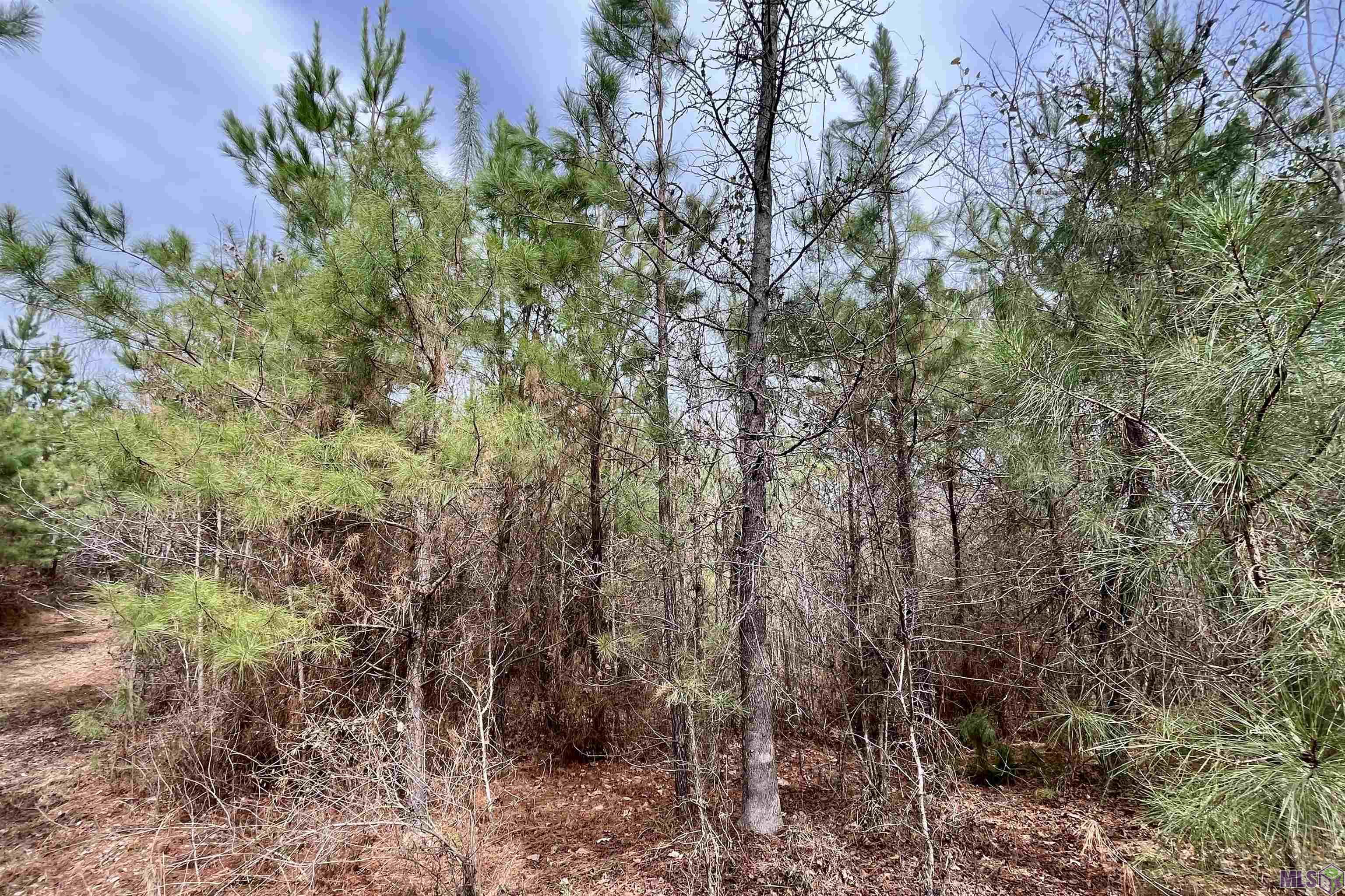 1 Ford Road Marion, LA 71260 - Photo 5 of 10