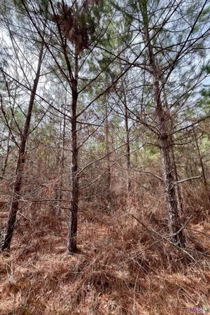 $249,900 | 1 Ford Road, Marion, LA 71260