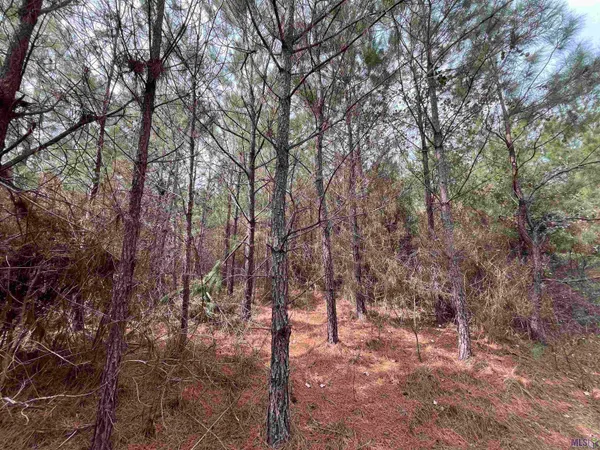 $249,900 | 1 Ford Road, Marion, LA 71260