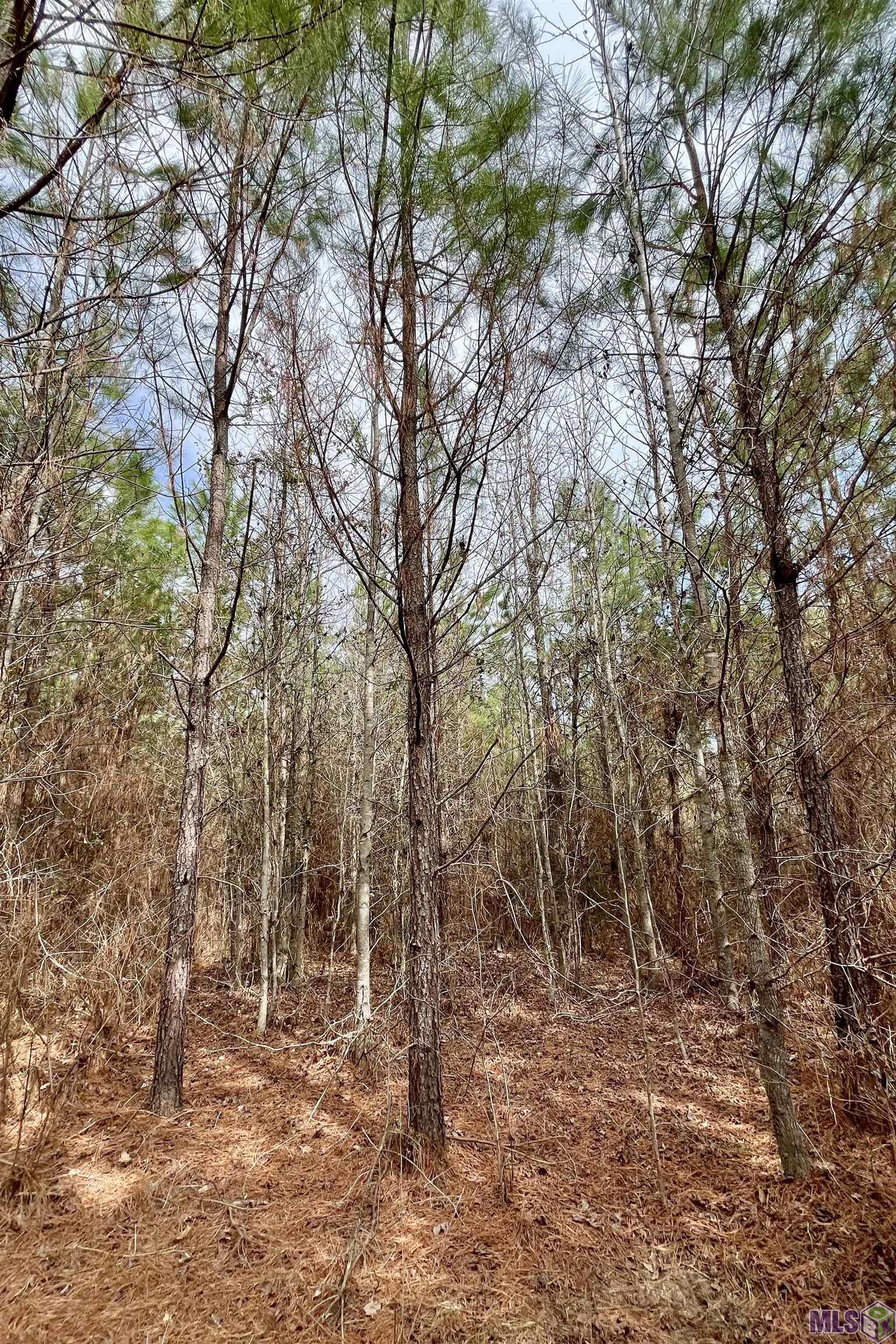 1 Ford Road Marion, LA 71260 - Photo 8 of 10