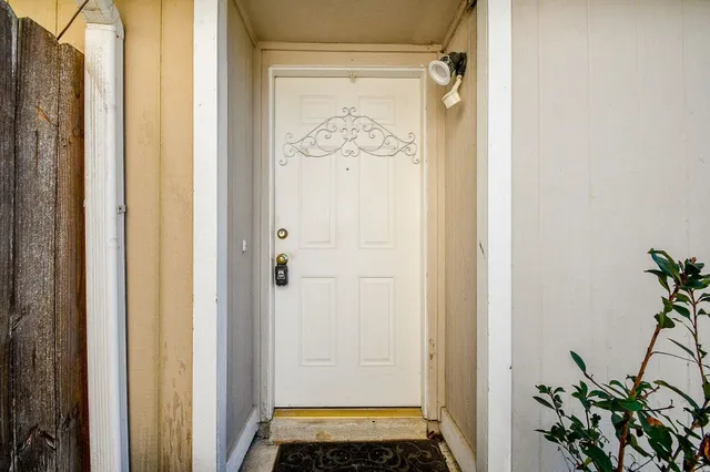 a door with a potted plant on the wall
