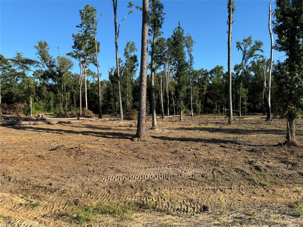 16393 West State Highway Tyler, TX 75709 - Photo 14 of 25 a backyard of water with palm trees