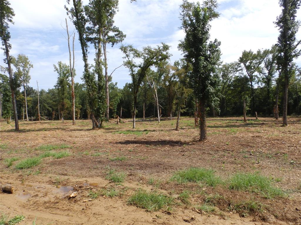 16393 West State Highway Tyler, TX 75709 - Photo 5 of 25 a house view with a backyard