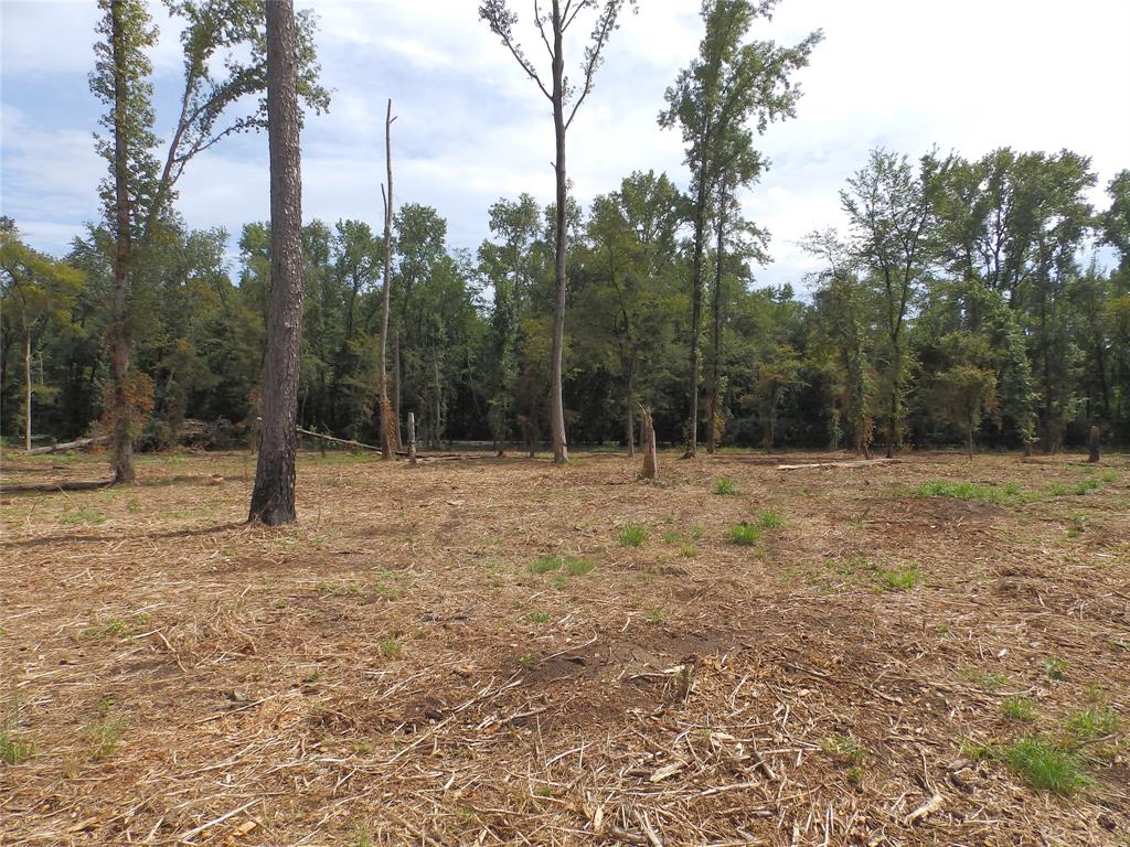 16393 West State Highway Tyler, TX 75709 - Photo 6 of 25 a backyard of a house with lots of green space