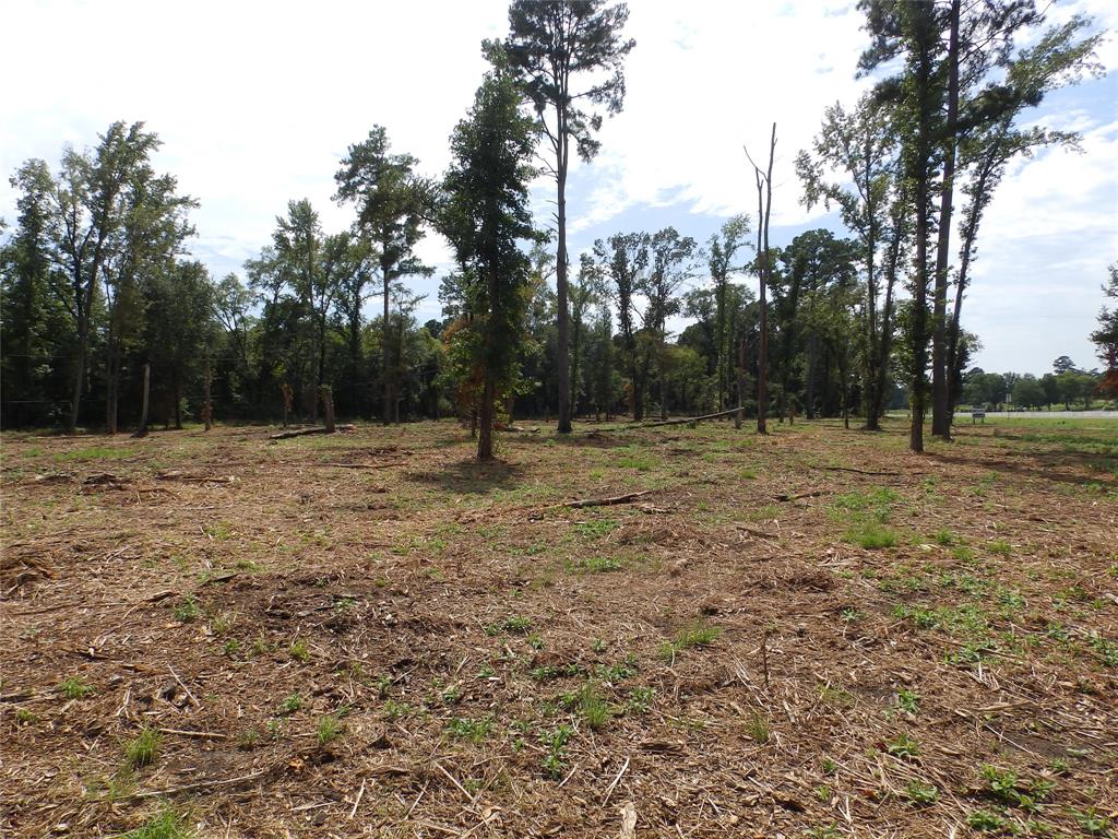 16393 West State Highway Tyler, TX 75709 - Photo 7 of 25 a view of outdoor space with trees