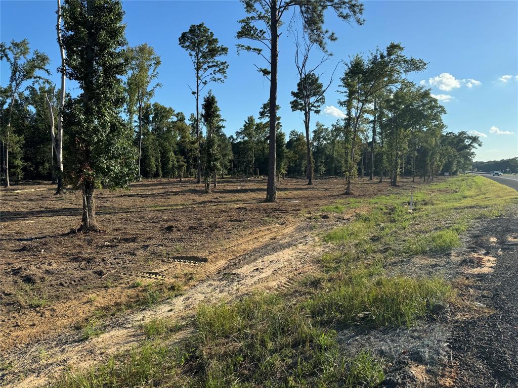 16393 West State Highway Tyler, TX 75709 - Photo 8 of 25 a backyard of field with trees