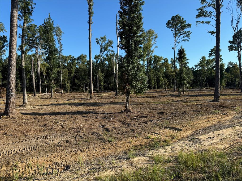 16393 West State Highway Tyler, TX 75709 - Photo 9 of 25 a backyard of a house with lots of green space