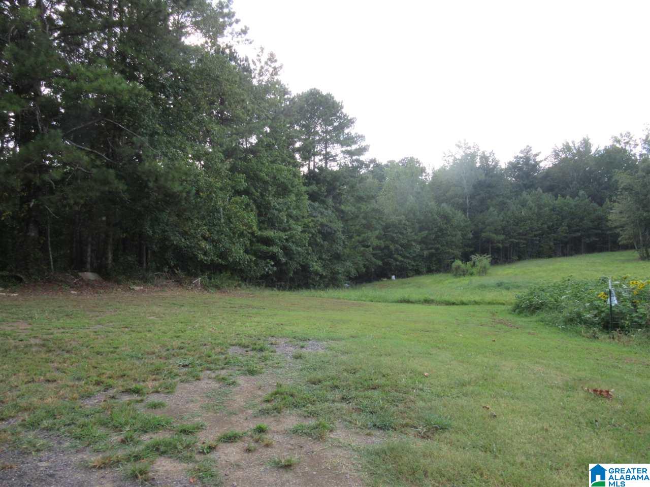 3260 Highway 27 Oneonta Al Oneonta, AL 35121 - Photo 35 of 37