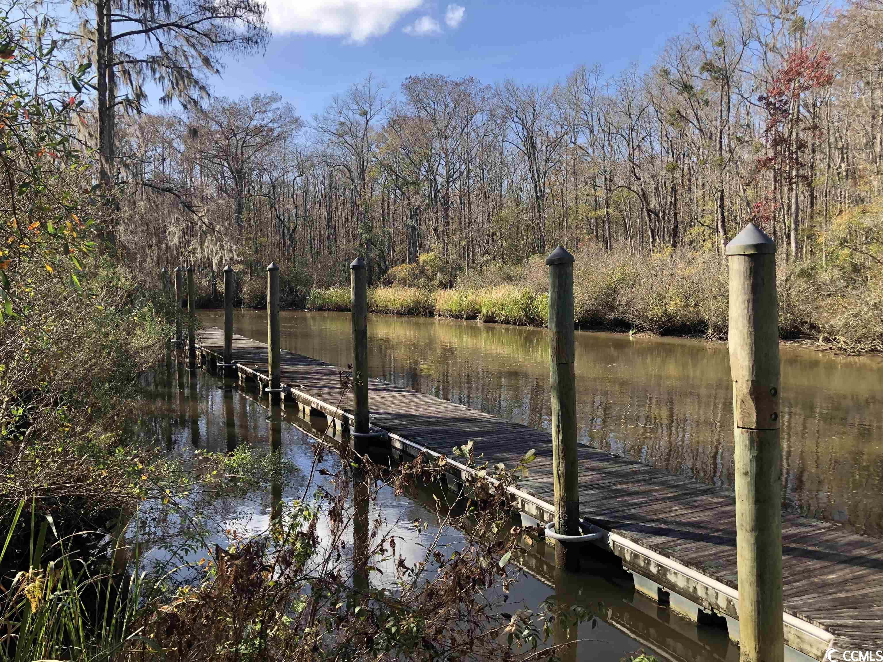 16 Barlowe Court Murrells Inlet, SC 29576 - Photo 39 of 40