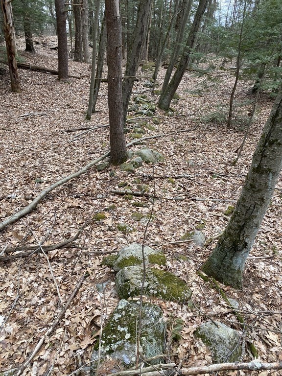 0 Mountain Road Gill, MA 01354 - Photo 9 of 10 Gallery Image 9