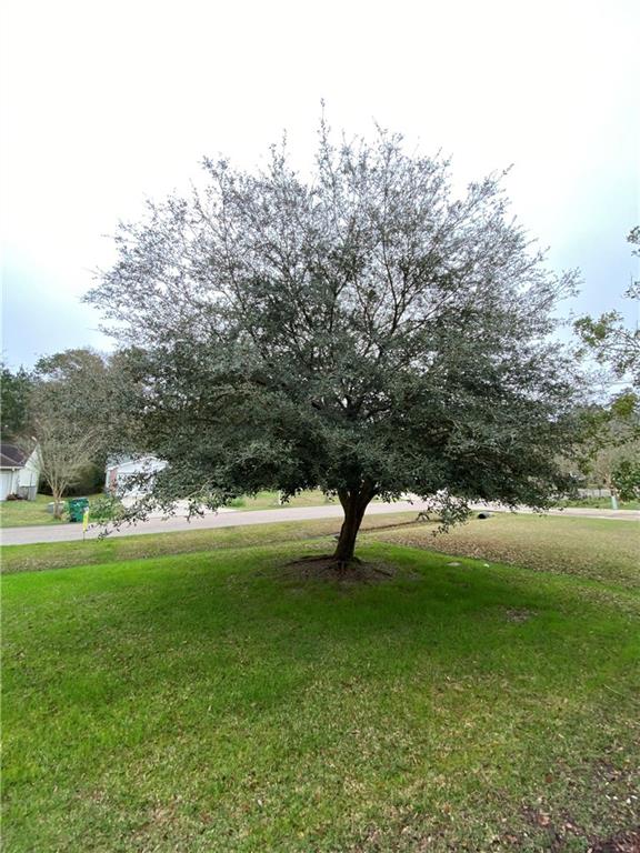 103 Sumner Street Covington, LA 70433 - Photo 13 of 26