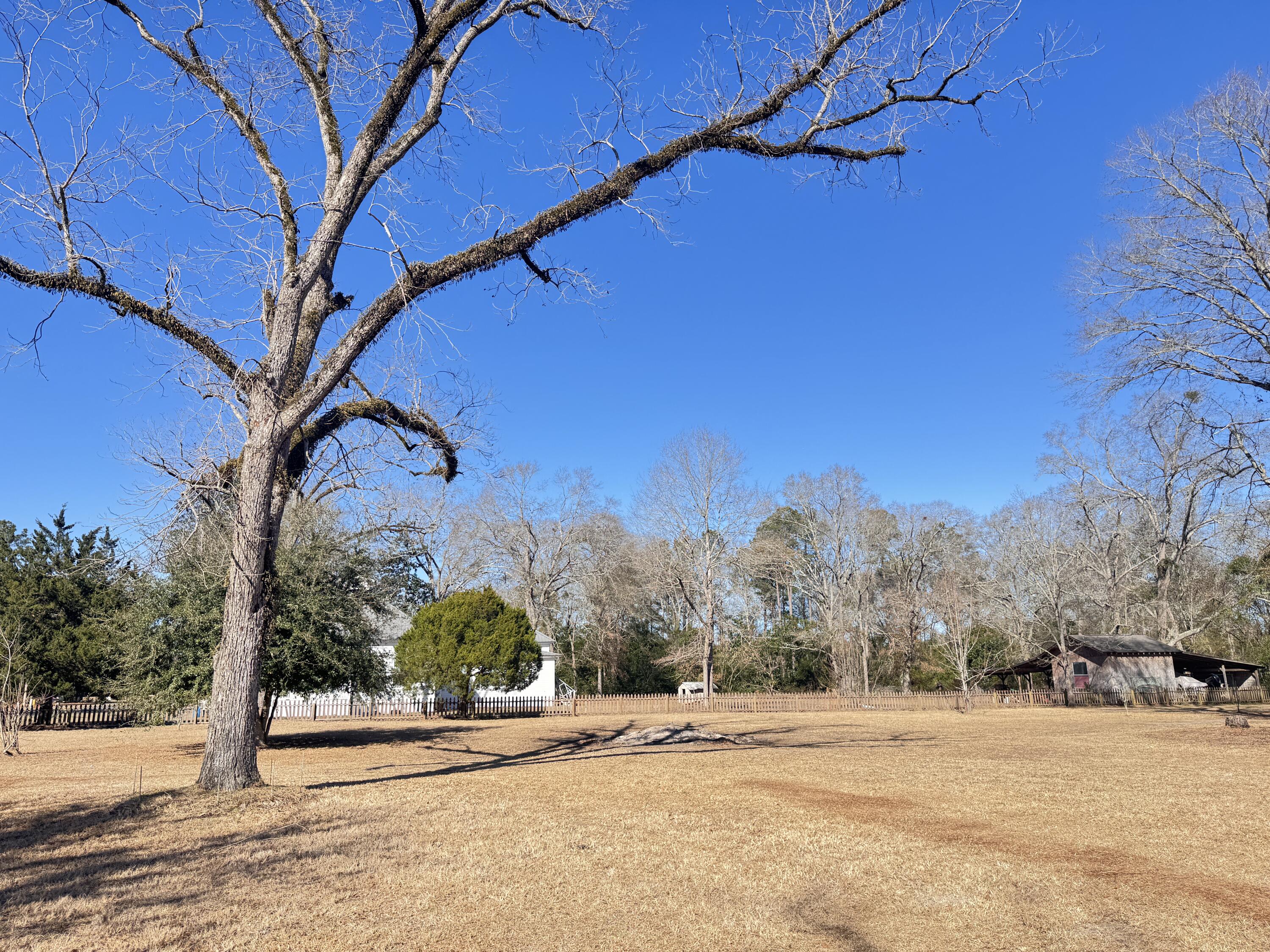 4233 Mt Nebo Road Lodge, SC 29082 - Photo 24 of 25 4233 Mt. Nebo Road (29)