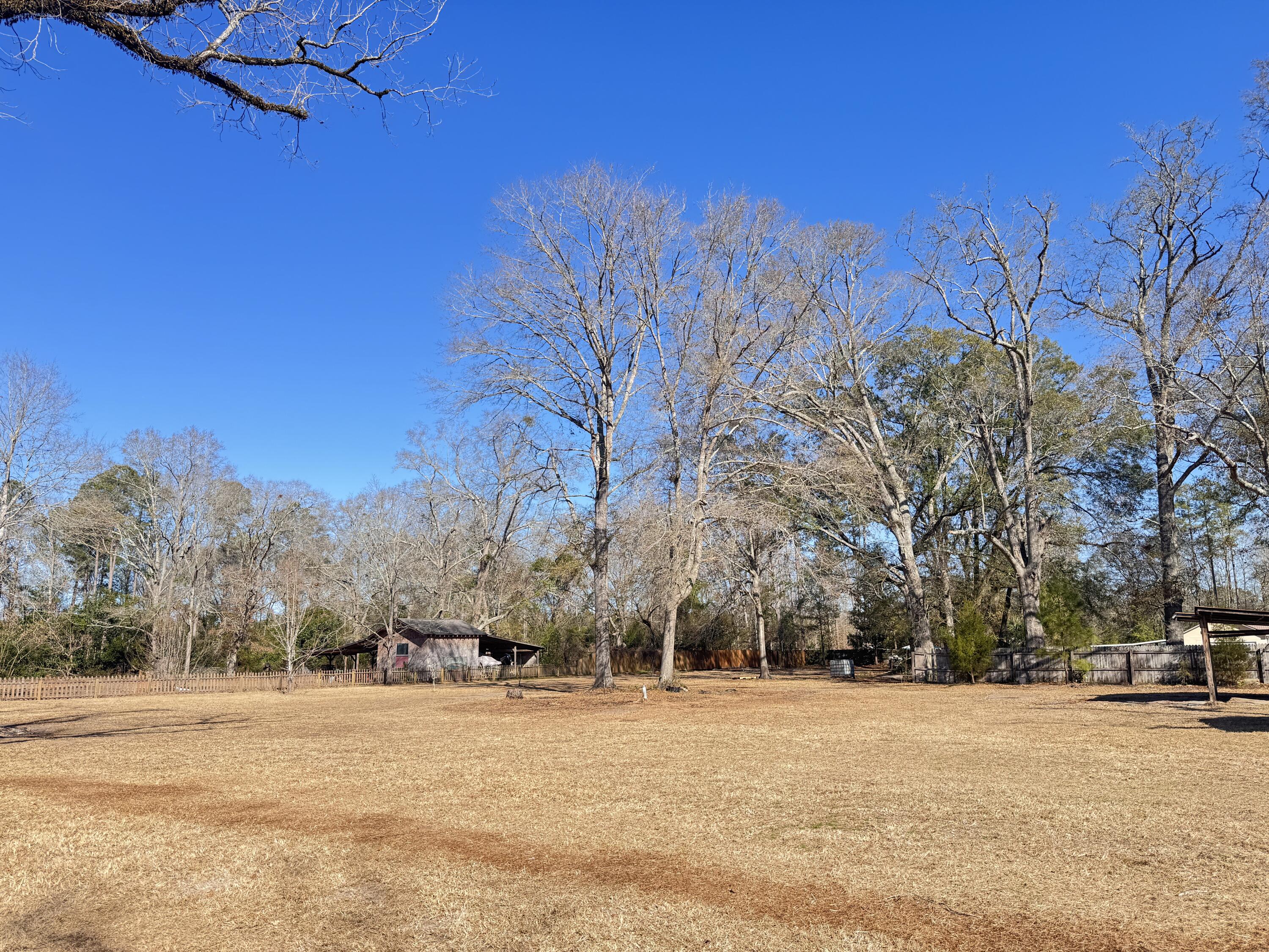 4233 Mt Nebo Road Lodge, SC 29082 - Photo 25 of 25 4233 Mt. Nebo Road (30)