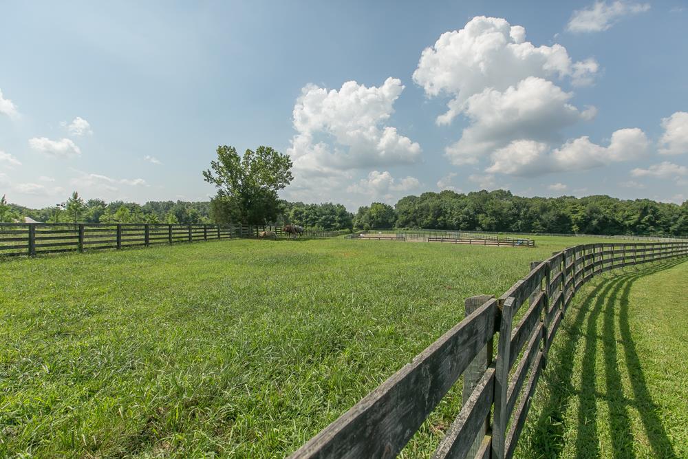 3495 Shores Road Murfreesboro, TN 37128 - Photo 14 of 30 Gallery Image 14