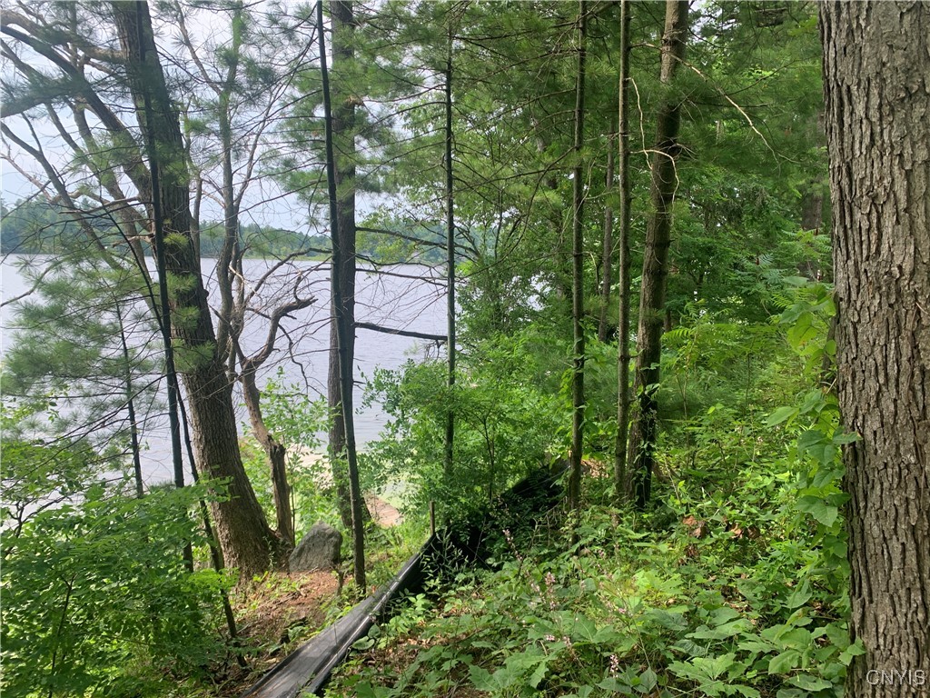 0 Chapman Point Hammond, NY 13646 - Photo 8 of 8
