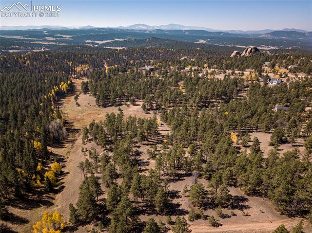 2754 Twin Rocks Road Florissant, CO 80816 - Photo 9 of 28