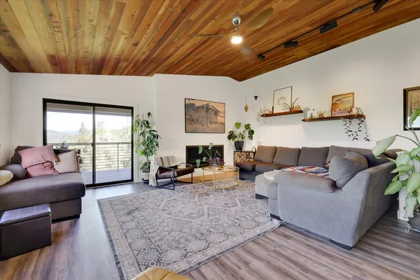 a living room with furniture and a potted plant