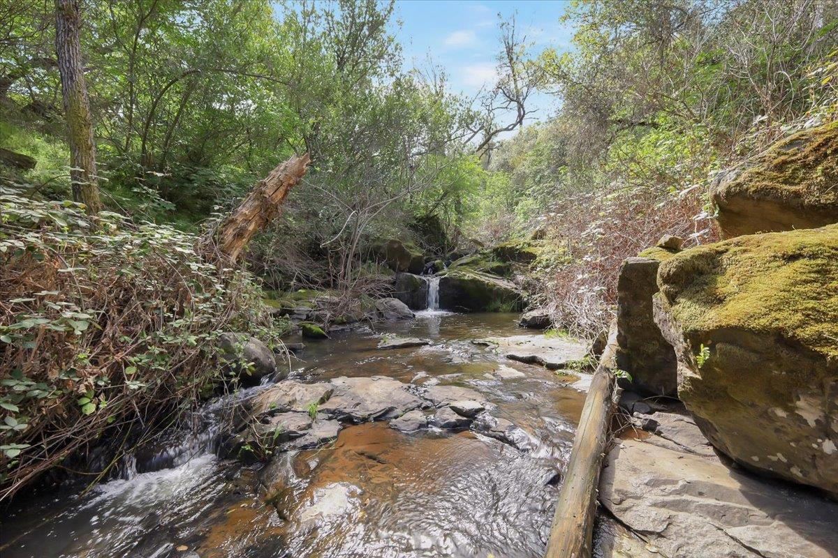 17513 Derby Way Penn Valley, CA 95946 - Photo 58 of 78 a view of a backyard of the house