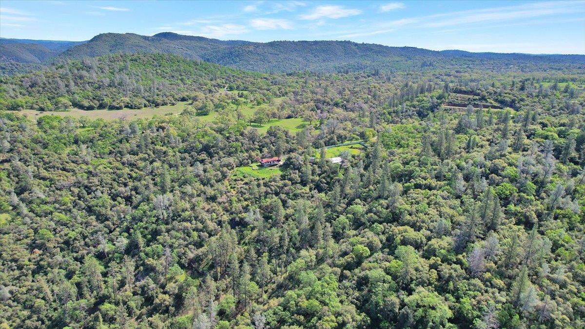 17513 Derby Way Penn Valley, CA 95946 - Photo 73 of 78 a view of a mountain range with lush green forest