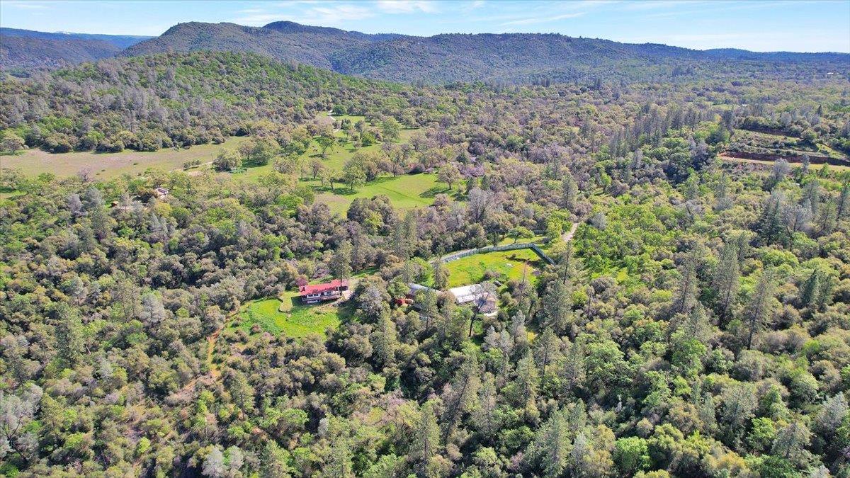 17513 Derby Way Penn Valley, CA 95946 - Photo 74 of 78 a view of a forest with a mountain
