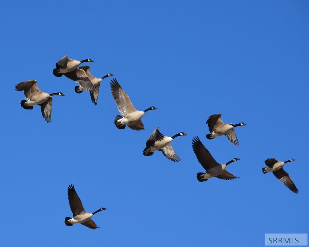 2117 Weiser River Road Weiser, ID 83672 - Photo 28 of 31