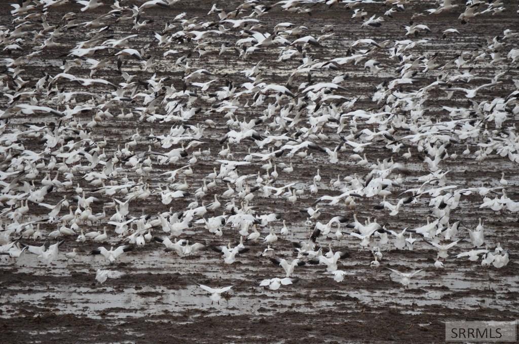 2117 Weiser River Road Weiser, ID 83672 - Photo 29 of 31